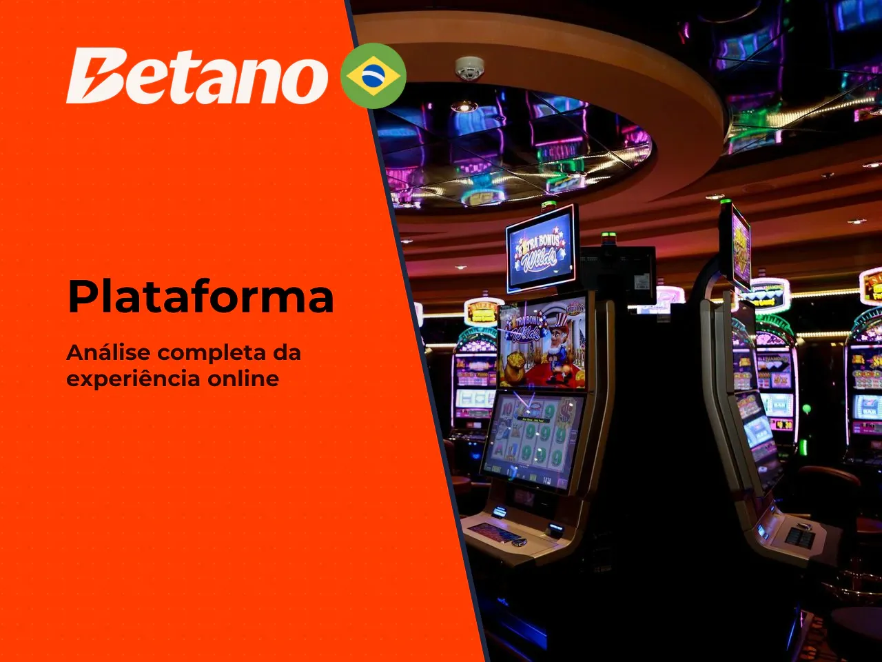 Site ou app qual opção vale